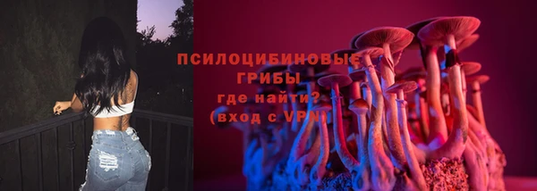 apvp Усинск