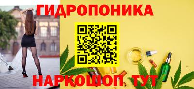 прущие грибы Балашиха