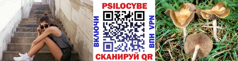 Галлюциногенные грибы Psilocybine cubensis  Нижний Новгород 
