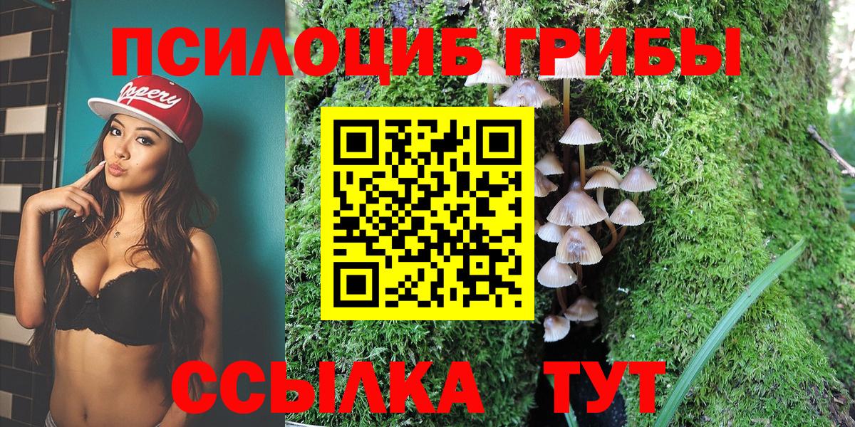 Псилоцибиновые грибы Magic Shrooms  Нижний Новгород  Псилоцибиновые грибы Cubensis 