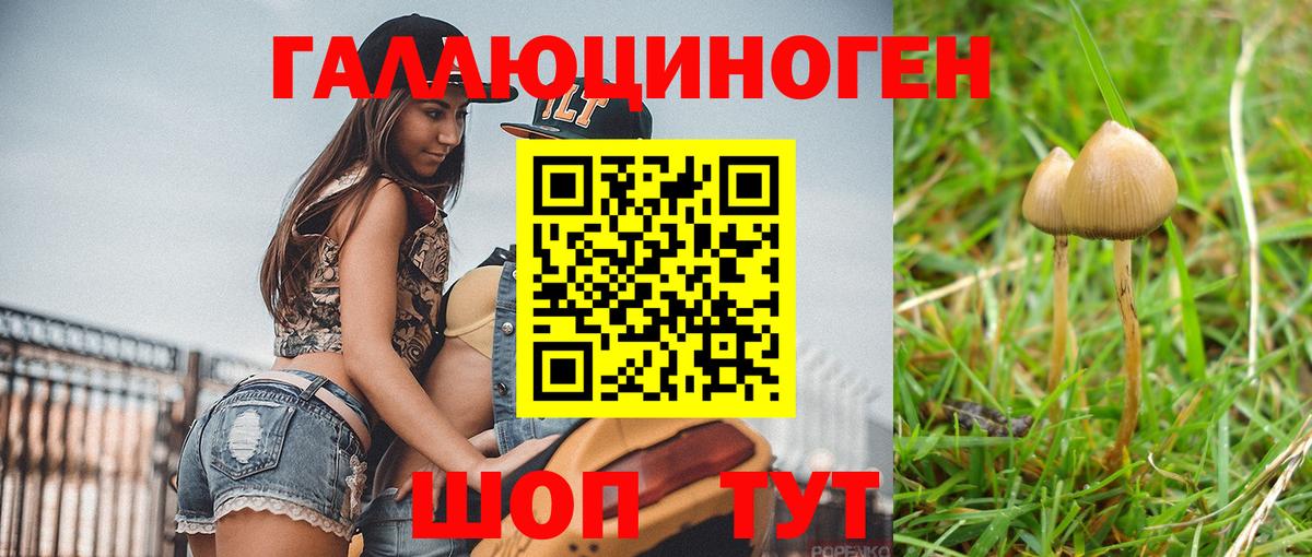 Нижний Новгород  Псилоцибиновые грибы прущие грибы  хочу наркоту  Вход с VPN 