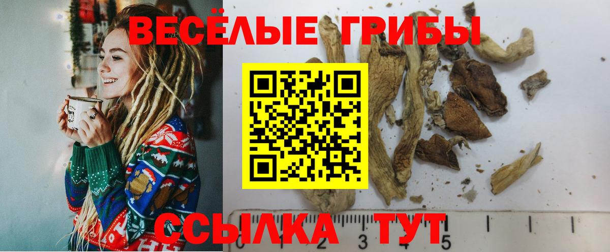 Псилоцибиновые грибы GOLDEN TEACHER Нижний Новгород